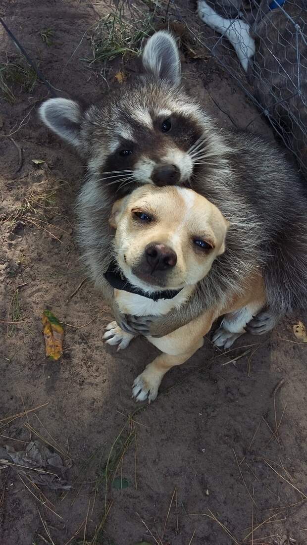 Фотогеничные кореша