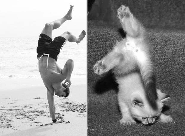 Котики и парни mencats10 Котики и парни