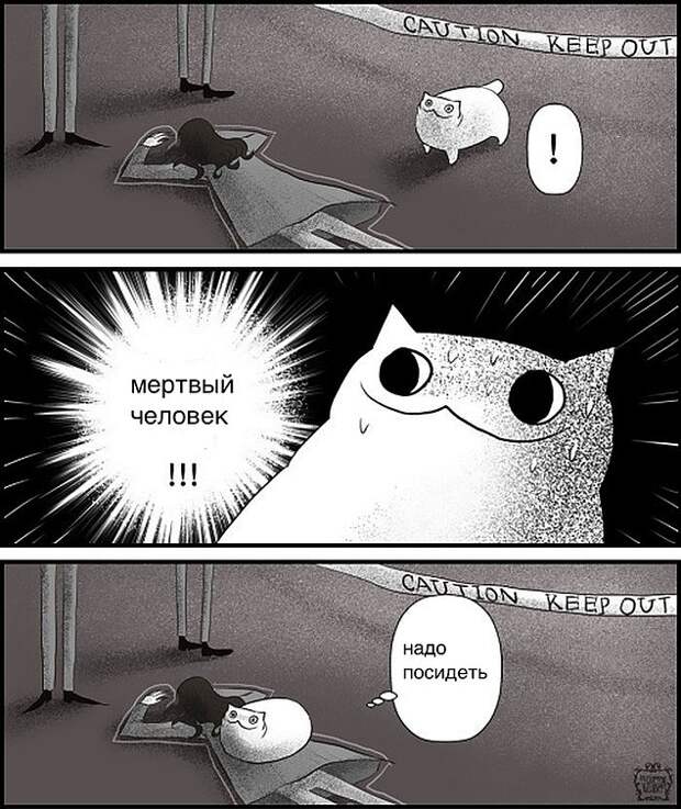 Проблемы жизни с котом в забавном комиксе (33 картинки)