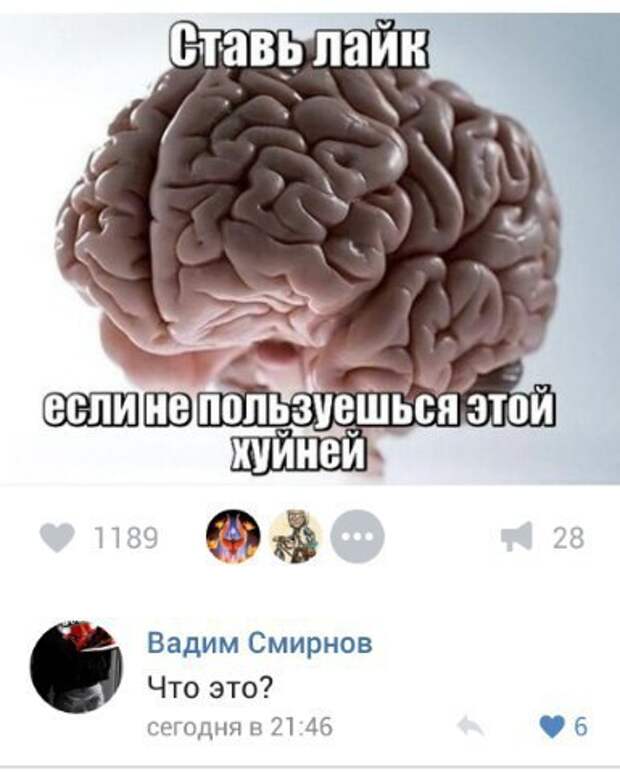 Приколы