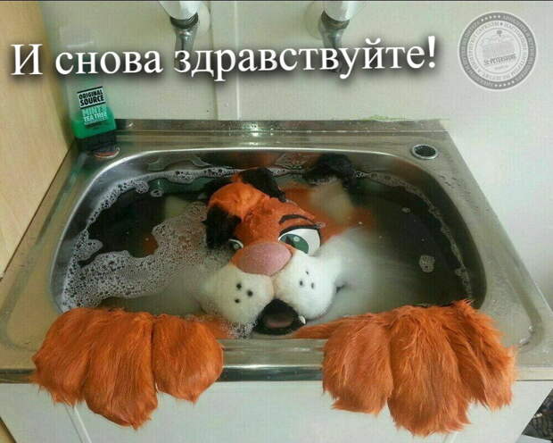 И снова здравствуйте!