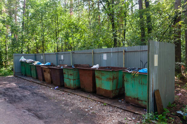 В Самаре на улицы вышли новые мусоровозы: 30 современных машин помогут региональному оператору