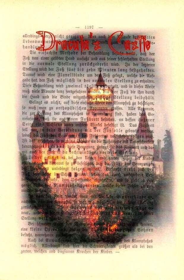 принты на книжных страницах (66) (459x700, 253Kb)