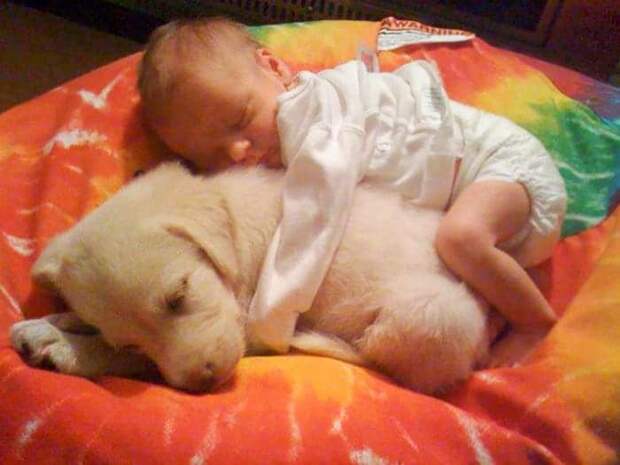 ребенок спит рядом со щенком