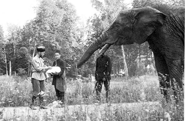 Фотографии семьи Романовых Фотографии семьи Романовых Романовых, семьи, фотографии