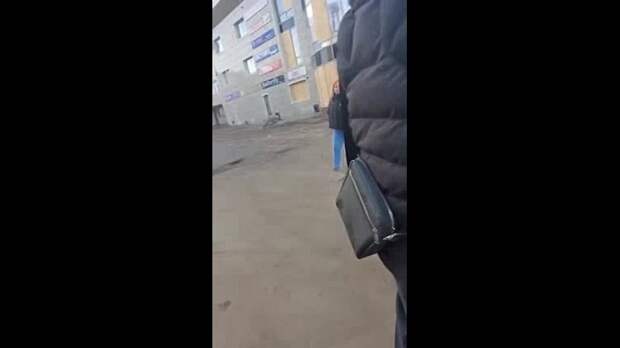 Video: video (1).mp4