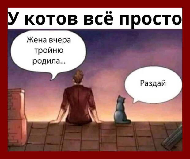 1-е Мая. Демонстрация. Лазит по толпе телерепортер и пристает ко всем с вопросами...