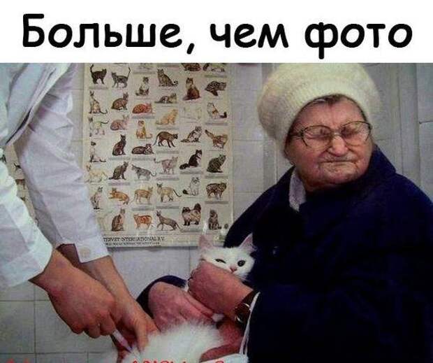 Угарные свежие картинки с надписями (вторник)