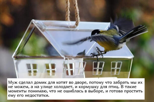 www.vsyako.net