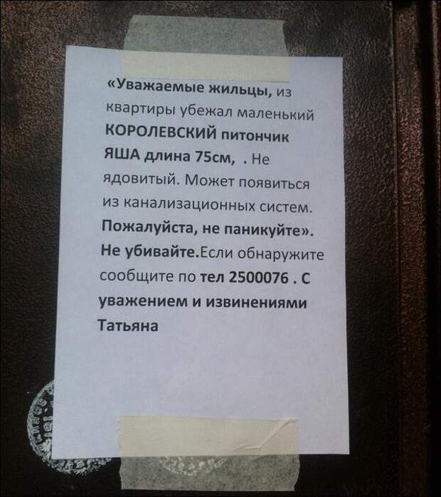 Внезапно, в канализации