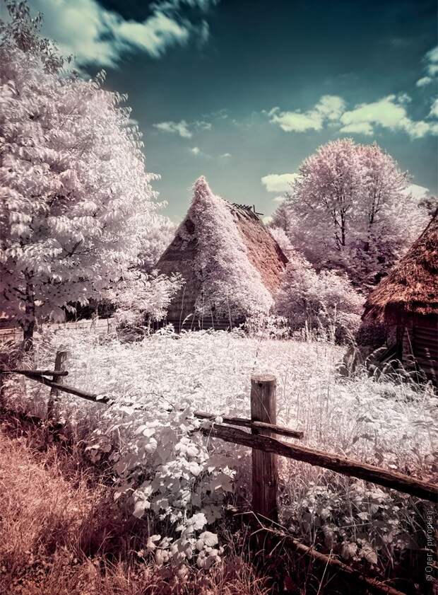 infrared04 infrared04 Инфракрасная фотография от Олега Григорьева