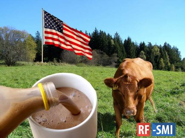 16 млн. американцев думают, что шоколадное молоко дают коричневые коровы