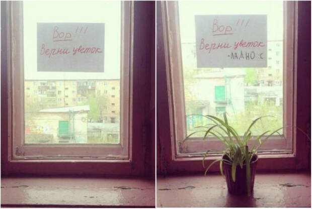 Похоже, совесть замучила! Похоже, совесть замучила!