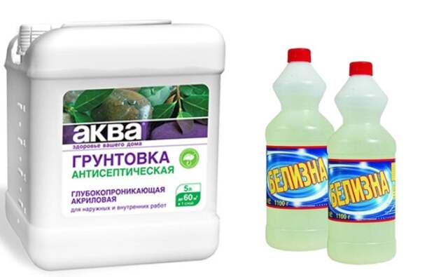 плесень на стенах в квартире