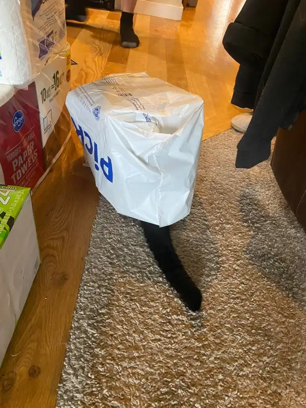 : 22      17 - BigPicture.ru