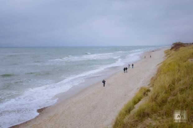 Силовики задержали директора нацпарка «Куршская коса» Калину