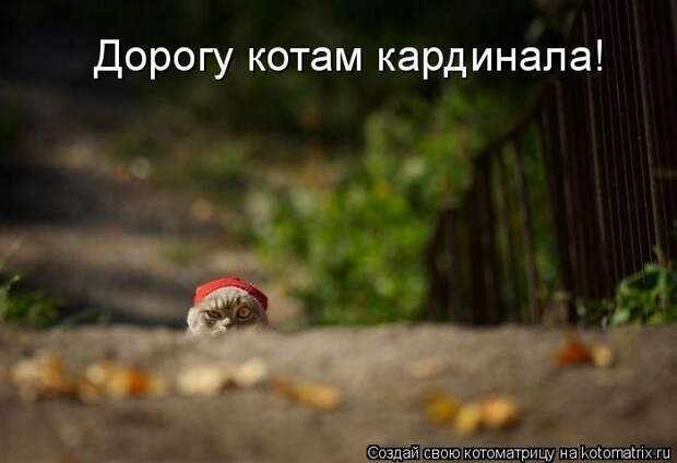 Мысли вслух :)