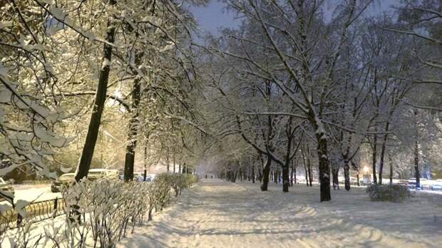 Москвичей предупредили о ночных морозах до минус 25°C