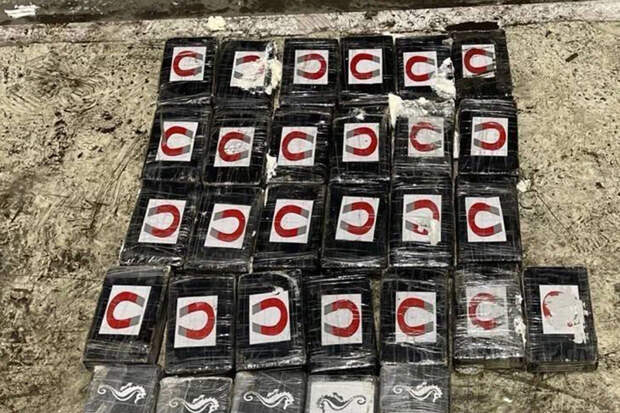Baza: таможенники нашли в контейнере партию кокаина на 600 млн рублей