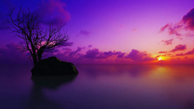 189869__violet-twilight_p (700x393, 185Kb)