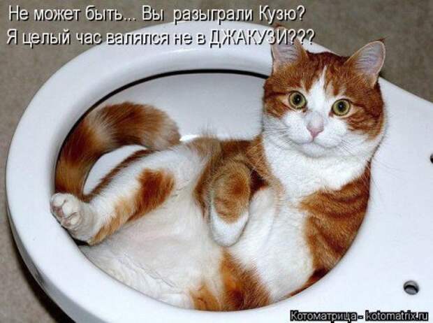 Свежий сборник котоматриц (34 шт)