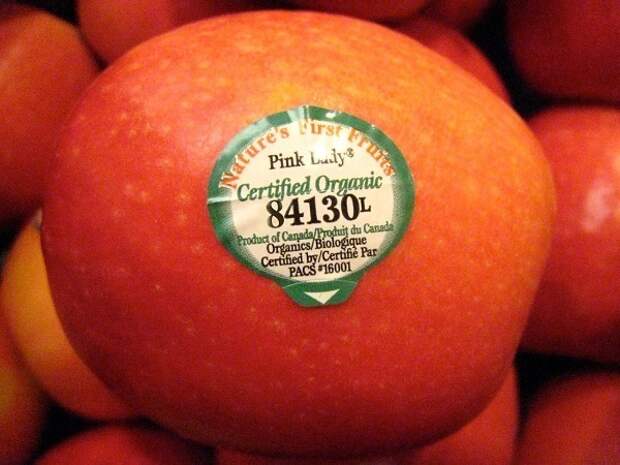 Блог - ГМО, агрохимия или полезный продукт: что означают цифры на фруктовых наклейках ГМО, агрохимия или полезный продукт: что означают цифры на фруктовых наклейках