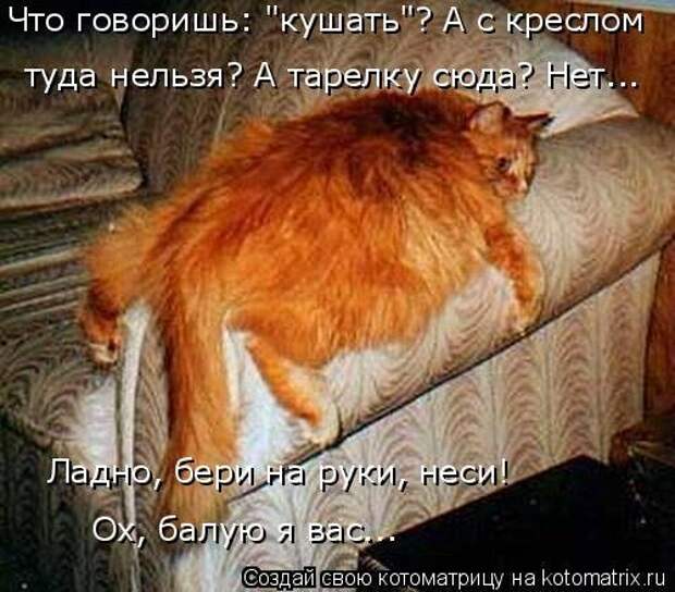 Лучшая котоматрица недели (16 фото) Лучшая котоматрица недели (16 фото)