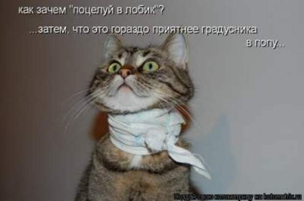 1474114687_kis1