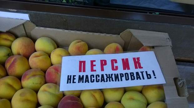 www.vsyako.net
