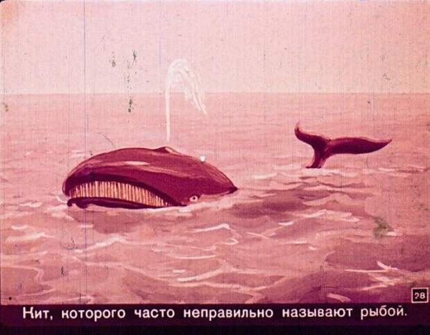 Диафильм вместо учебника по географии