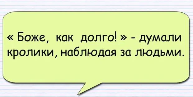 — Подруга , повезло тебе в жизни, ведь у тебя такой надежный хранитель очага !