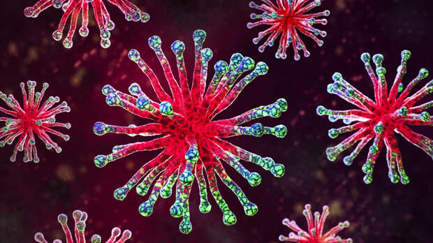 Туристов в Индии призвали мыть продукты во избежание заражения вирусом Нипах