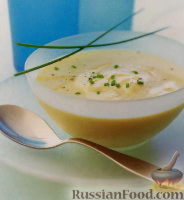 Фото к рецепту: Вишисуаз