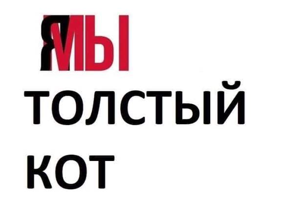 Толстый кот Виктор против "Аэрофлота"