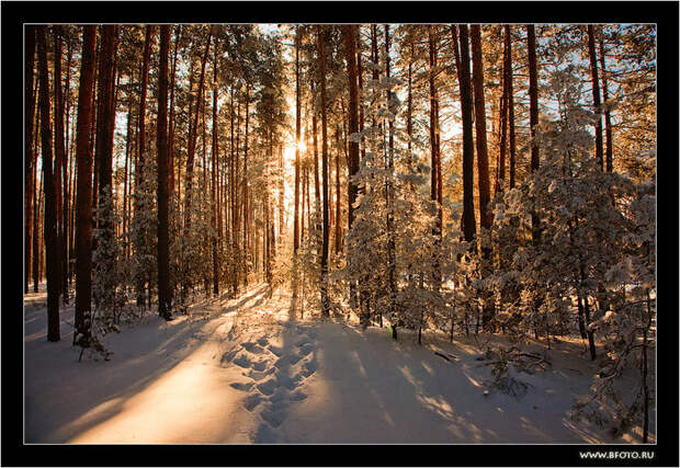 8 красивая зима (700x483, 194Kb)