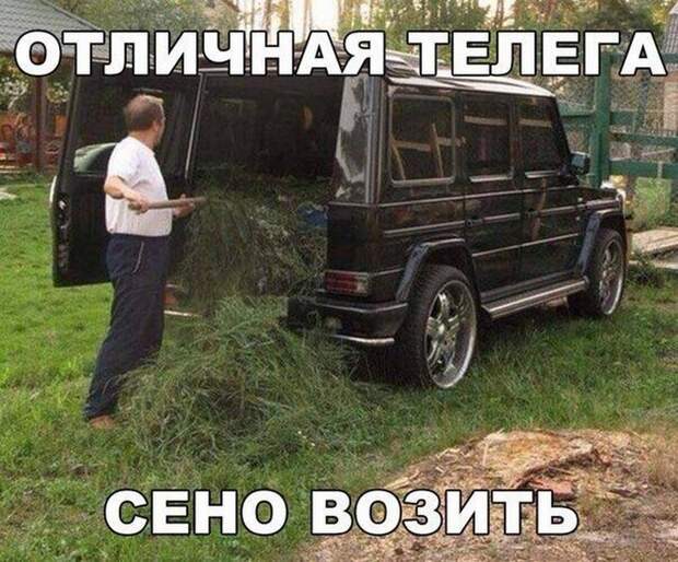 автоприколы