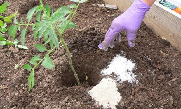5 убедительных причин, чтобы прихватить с собой на дачу пару пачек соли