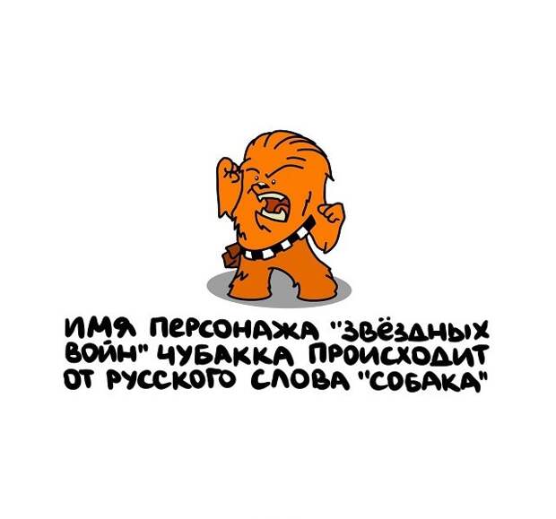 Интересные короткие факты на все случаи жизни