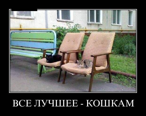 Демотиваторы или очередной сеанс смеха