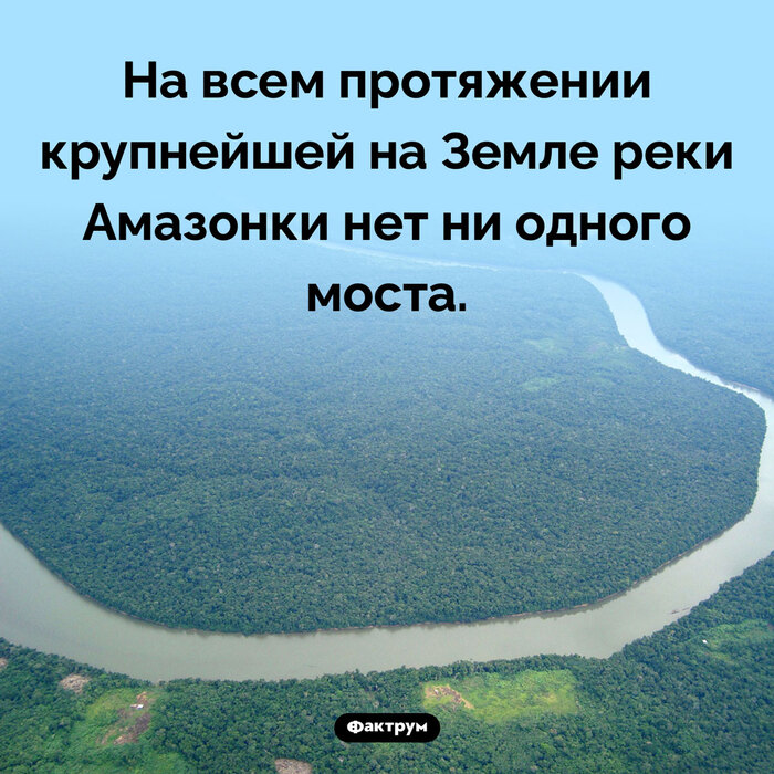 Подборка интересных фактов № 81 Познавательно, Факты, Подборка, Картинка с текстом, Фактрум, Длиннопост