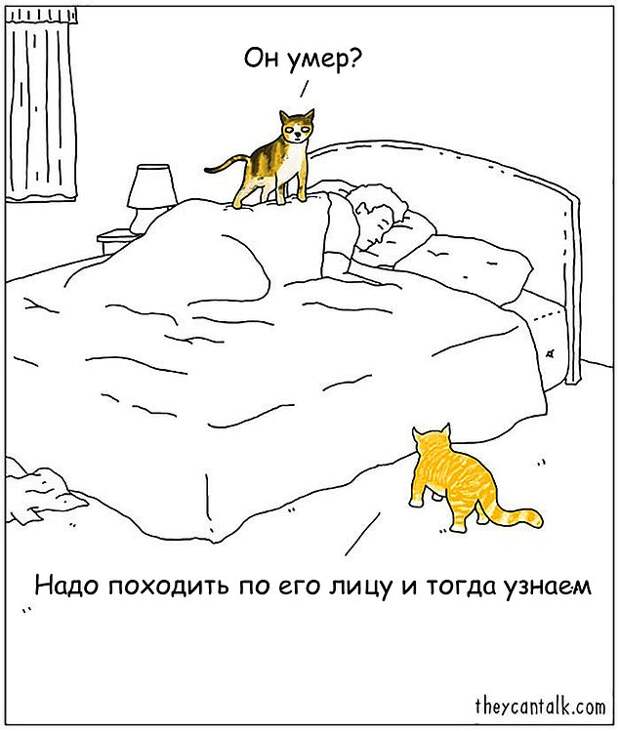 Проблемы жизни с котом в забавном комиксе (33 картинки)