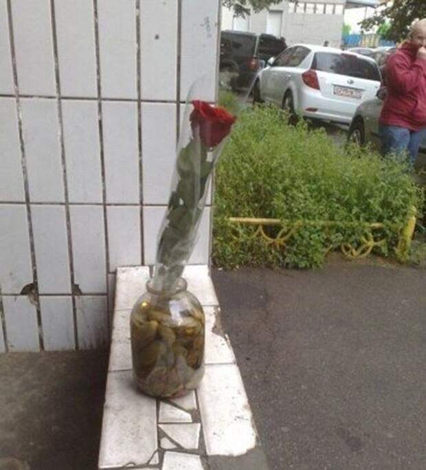 Прикольные картинки