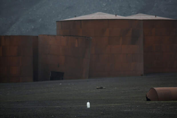 CLIMATECHANGE-ANTARCTICA/