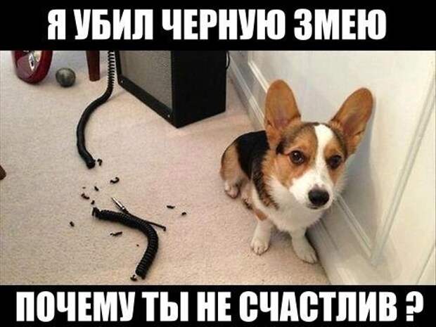 Всяко - разно 9  )))