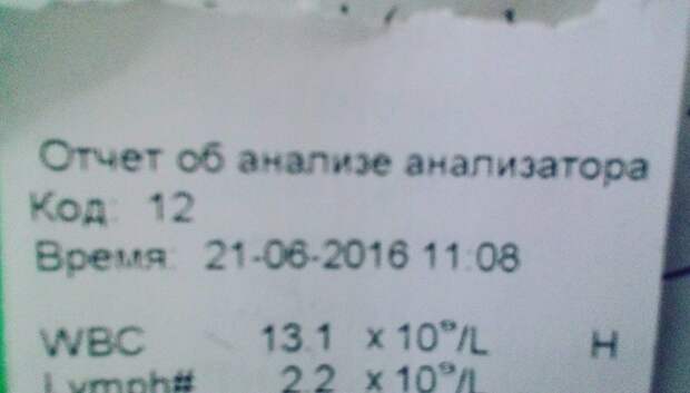 Как-то уж совсем неловко получилось