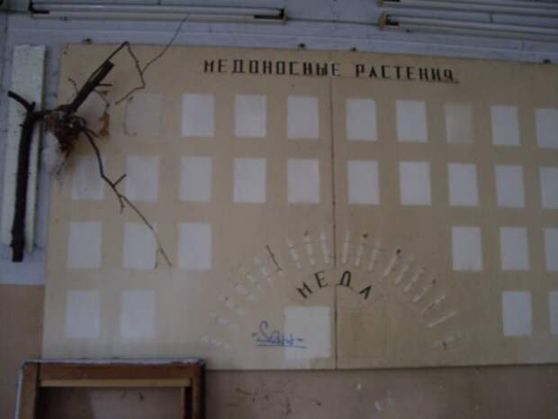 Химические, бактериологические и радиоактивные могильники в Лесопарке Кузьминки
