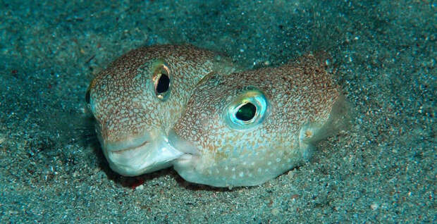 5cb90053de0c33dc5f04f3cf6fec5945