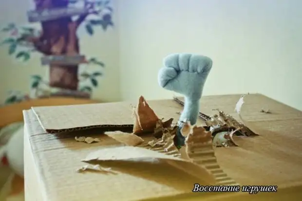 Всяческие фотоприколы