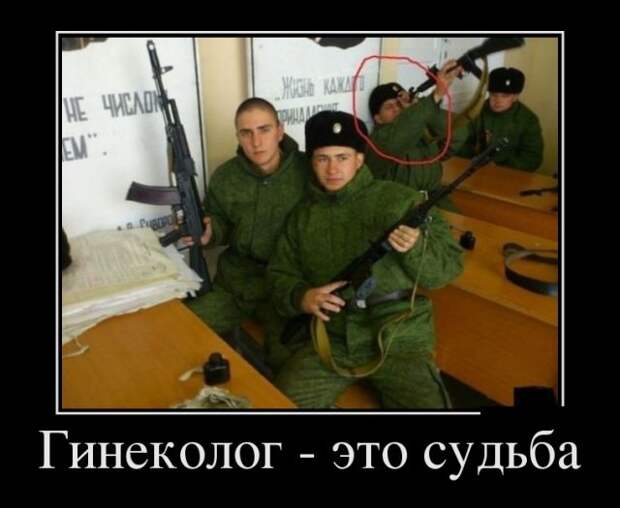 Демотиваторы - 977 Демотиваторы - 977
