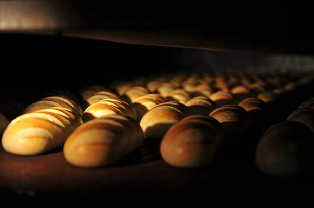 Фото: Pravda Komsomolskaya/Russian Look/www.globallookpress.com